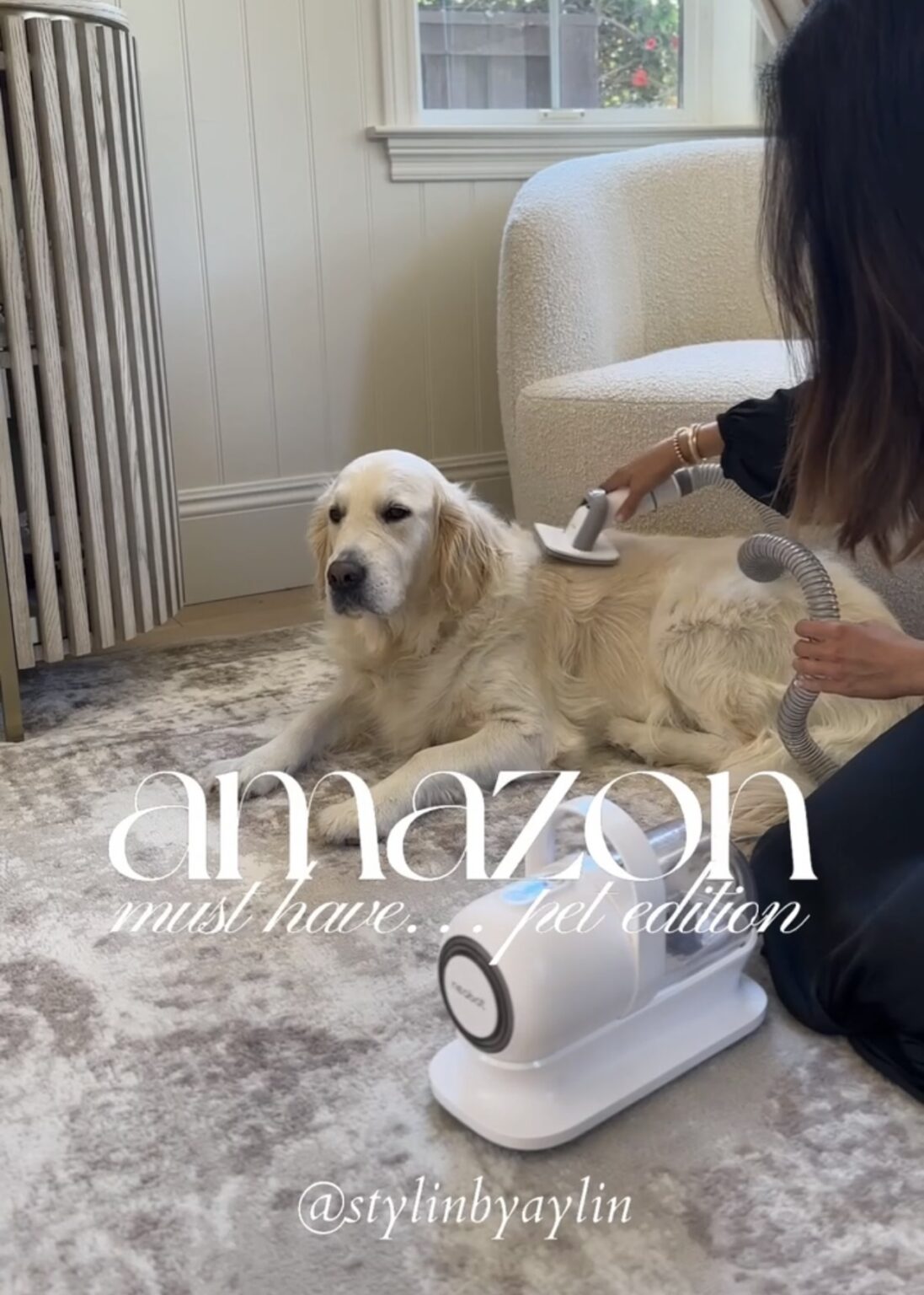 Curated visual reference: Cheap At Home Pet Grooming Reference: The Best At Home Pet Grooming Tool